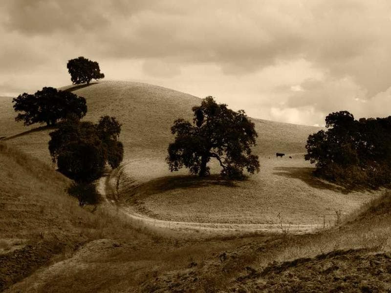 Rescate Arqueológico - Proyecto Vial